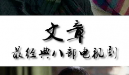 电视剧文章,电视剧文章情感纠葛与成长历程