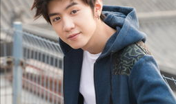 陈哲远的电视剧,演绎青春梦想，逐梦演艺圈