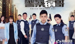 警察锅哥电视剧全集在线观看,揭秘警界风云，正义与智慧的较量